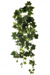 001 Veštaćke lozice